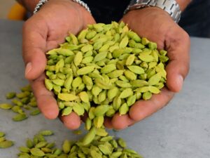 Premium Green Cardamom chatgpt image jan 29, 2026, 11 30 53 am picsart aiimageenhancer