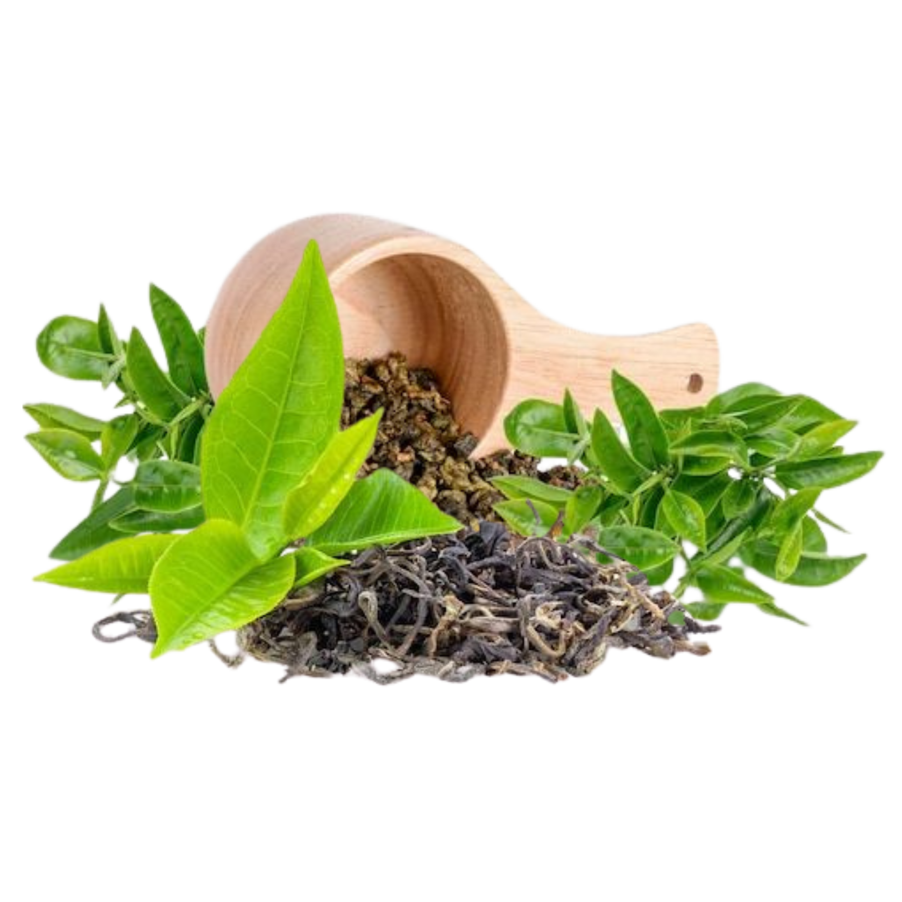 Premium Organic Spices & Natural Products Online Tea Leaf