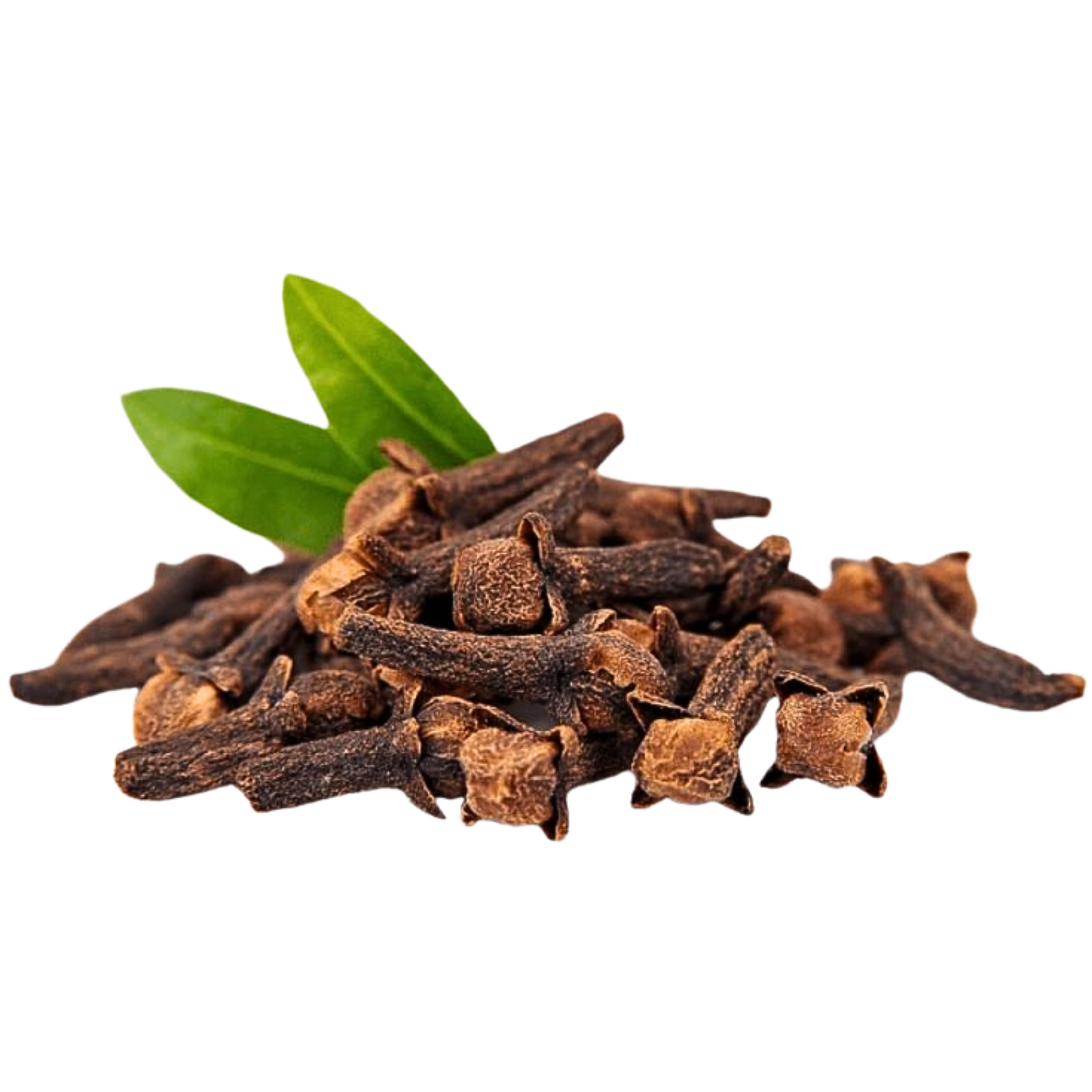 Premium Organic Spices & Natural Products Online Clove