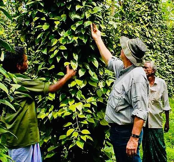 Spice Plantation Tour 2 AlphonSo Stories E1767266457145